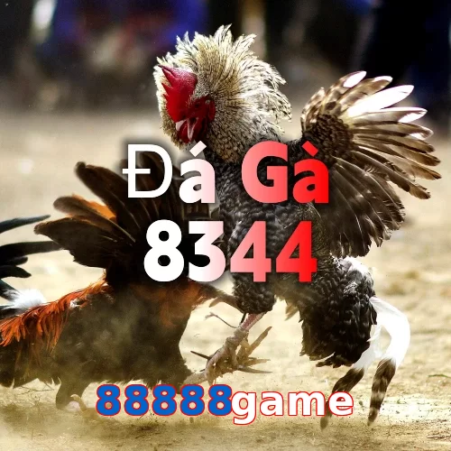 88888game